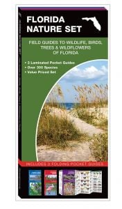 Florida Nature Set: Field Guides to Wildlife, Birds, Trees & Wildflowers (Pocket Naturalist® Guide Set)