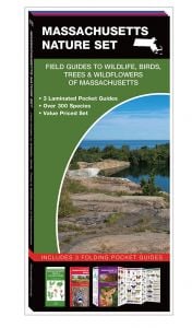 Massachusetts Nature Set: Field Guides to Wildlife, Birds, Trees & Wildflowers (Pocket Naturalist® Guide Set)