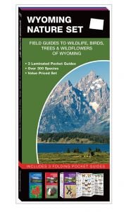 Wyoming Nature Set: Field Guides to Wildlife, Birds, Trees & Wildflowers (Pocket Naturalist® Guide Set)