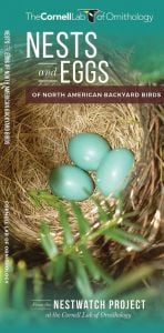Nests & Eggs (All About Birds Pocket Guide®)