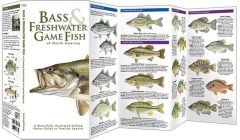 Bass & Freshwater Game Fish of North America (Pocket Fish Identification Guide®)