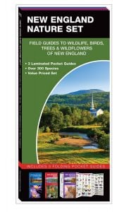 New England Nature Set: Field Guides to Wildlife, Birds, Trees & Wildflowers (Pocket Naturalist® Guide Set) 