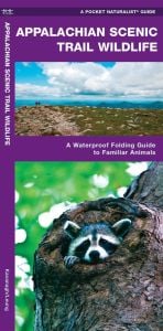 Appalachian Scenic Trail Wildlife (Pocket Naturalist® Guide)