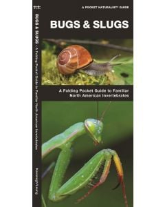 Bugs & Slugs, 2nd Edition: A Folding Pocket Guide to Familiar North American Invertebrates (Pocket Naturalist® Guide)