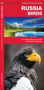 Russia Birds (Pocket Naturalist® Guide)
