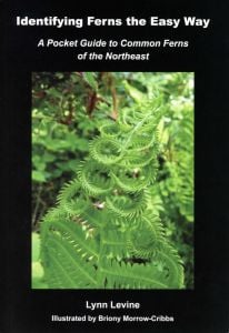 Identifying Ferns the Easy Way: A Pocket Guide to Common Ferns of the Northeast