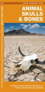 Animal Skulls & Bones: A Folding Pocket Guide to the Bones of Common North American Animals (Duraguide®)