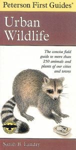 Urban Wildlife (Peterson First Guide)