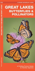 Great Lakes Butterflies & Pollinators (Pocket Naturalist® Guide)
