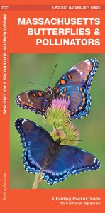Massachusetts Butterflies & Pollinators (Pocket Naturalist® Guide)