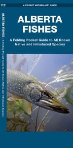 Alberta Fishes, Waterproof: A Folding Pocket Guide to All Known Native and Introduced Species (Pocket Naturalist® Guide)
