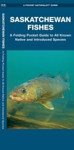 Saskatchewan Fishes, Waterproof: A Folding Pocket Guide to All Known Native and Introduced Species (Pocket Naturalist® Guide)