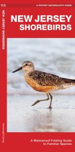 New Jersey Shorebirds (Pocket Naturalist® Guide)