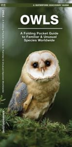 Owls (Waterford Discovery® Guide)