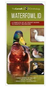 Waterfowl ID: Guides to the Basics, Dabbling, Diving, Sea Ducks, and Others (Our Living Earth® Series)