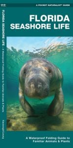 Florida Seashore Life, 2nd Edition (Pocket Naturalist® Guide)
