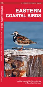Eastern Coastal Birds, 2nd Edition (Pocket Naturalist® Guide)