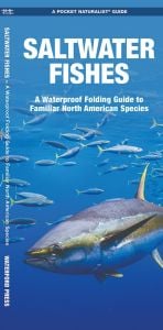 Saltwater Fishes, 2nd Edition (Pocket Naturalist® Guide)