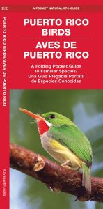 Puerto Rico Birds/Aves de Puerto Rico (Pocket Naturalist® Guide)