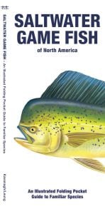 Saltwater Game Fish of North America, 2nd Edition (Pocket Fish Identification Guide®)