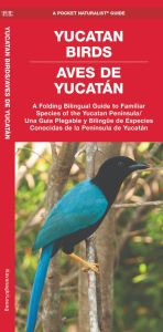 Yucatan Birds/Aves de Yucatan (Pocket Naturalist® Guide)