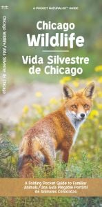 Chicago Wildlife/Vida Silvestre de Chicago (Pocket Naturalist® Guide)