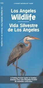 Los Angeles Wildlife/Vida Silvestre de Los Angeles (Pocket Naturalist® Guide)