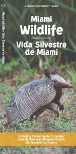 Miami Wildlife/Vida Silvestre de Miami (Pocket Naturalist® Guide)