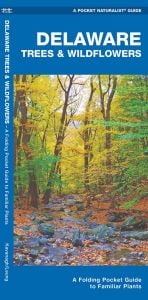 Delaware Trees & Wildflowers, 2nd Edition (Pocket Naturalist® Guide)