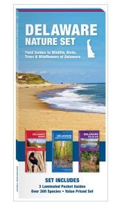 Delaware Nature Set, 2nd Edition: Field Guides to Wildlife, Birds, Trees & Wildflowers (Pocket Naturalist® Guide Set)
