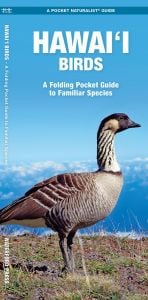 Hawaii Birds, 2nd Edition (Pocket Naturalist® Guide)