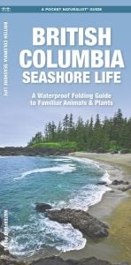 British Columbia Seashore Life, 3rd Edition (Pocket Naturalist® Guide)