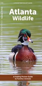 Atlanta Wildlife (Pocket Naturalist® Guide)