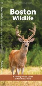 Boston Wildlife (Pocket Naturalist® Guide)