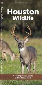 Houston Wildlife (Pocket Naturalist® Guide)