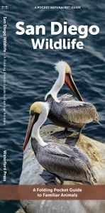 San Diego Wildlife (Pocket Naturalist® Guide)