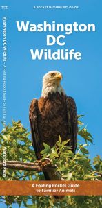Washington DC Wildlife (Pocket Naturalist® Guide)
