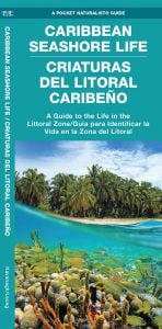 Caribbean Seashore Life/Criaturas Del Litoral Caribeño (Pocket Naturalist® Guide)
