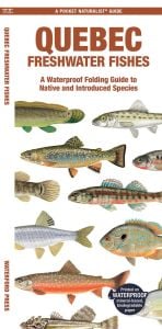 Quebec Freshwater Fishes (Pocket Naturalist® Guide)
