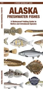 Alaska Freshwater Fishes (Pocket Naturalist® Guide)