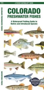 Colorado Freshwater Fishes (Pocket Naturalist® Guide)