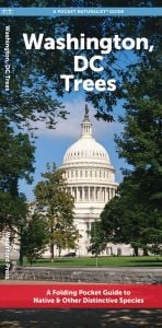 Washington DC Trees (Pocket Naturalist® Guide)