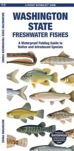 Washington State Freshwater Fishes (Pocket Naturalist® Guide)