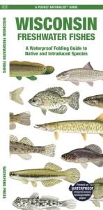 Wisconsin Freshwater Fishes (Pocket Naturalist® Guide)