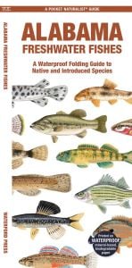 Alabama Freshwater Fishes (Pocket Naturalist® Guide)