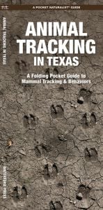 Animal Tracking in Texas (Pocket Naturalist® Guide)