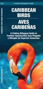 Caribbean Birds/Aves Caribenas (Pocket Naturalist® Guide)