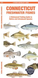 Connecticut Freshwater Fishes (Pocket Naturalist® Guide)