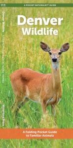 Denver Wildlife (Pocket Naturalist® Guide)
