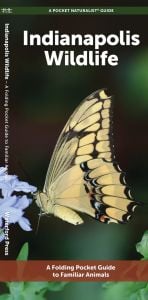Indianapolis Wildlife (Pocket Naturalist® Guide)